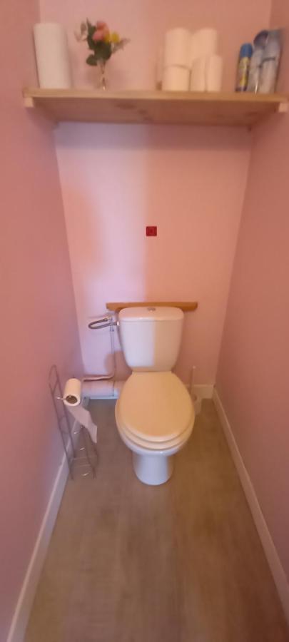 Le Petit Loup Palois - Terrasse & Wifi Fibre Appartement Pau Buitenkant foto